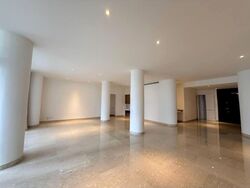 The Colonnade (D10), Condominium #542742471